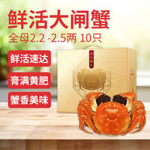 莲花蟹农 鲜活大闸蟹 全母蟹 2.2-2.5两 10只