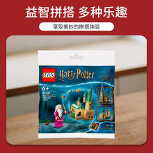LEGO 乐高 哈利波特30435霍格沃茨城堡拼砌包8种拼法盲袋益智积