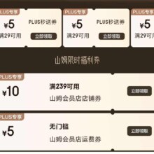 京东 plus秒送券 送4张京东29-5元优惠券