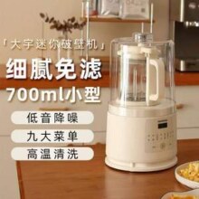 DAEWOO 大宇 FP03 家用Mini破壁机