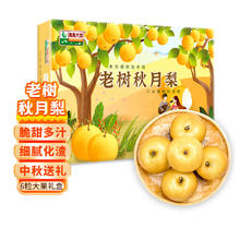 青青大地 老树秋月梨 大果 6-8粒 3kg 礼盒装