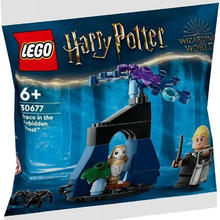 LEGO 乐高 哈利·波特系列 30677 禁林中的德拉科