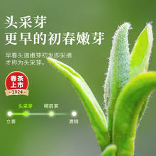 88VIP会员：乐品乐茶 毛尖 特级 125g*2