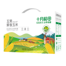 十月稻田 鲜食黄糯玉米 2.2kg(220g/根*10) 东北黏甜玉米棒 早餐 杂粮礼盒