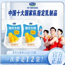 JUNLEBAO 君乐宝 酸奶涨芝士原味180g*12袋一整箱低温芝士发酵酸奶