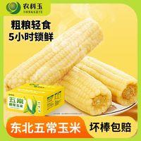 农科玉 玉米新鲜甜糯玉米 260g*8根