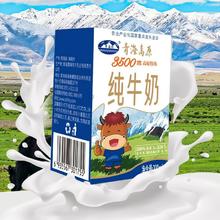 青海湖 3500米高原牧场纯牛奶200ml×10盒