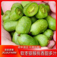 玖玖农场 丹东软枣猕猴桃13斤奇异莓青皮圆枣新鲜孕妇水果顺丰包邮整箱
