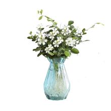 云寒 水养绿植室内水培花卉水养苗 绿萝发财树白掌盆栽桌面水培易成活