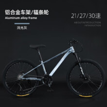 百亿补贴、需plus会员：飞鸽 FG FLYING PIGEON 铝合金山地自行车 GT500 铝架辐条轮 消光灰 24英寸 21速禧玛诺