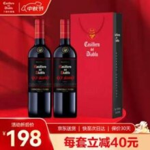 干露 红魔鬼 智利进口 黑金珍藏红葡萄酒750mL*2瓶