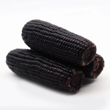 东北新鲜黑糯玉米14根！1800g