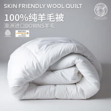 值选：AUSGOLDENMIX 澳洲100%纯羊毛被A类四季被 被芯200*230cm
