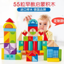 Hape 木质大颗粒积木 55粒