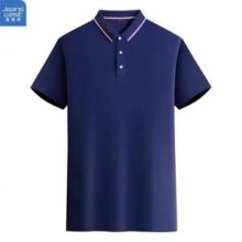 Jeanswest 真维斯 男士时尚短袖Polo衫*2件