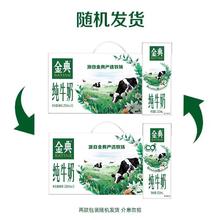 SATINE 金典 纯牛奶 250ml*12盒 整箱
