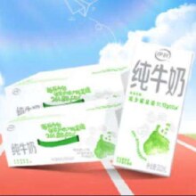 PLUS会员：伊利牛奶 纯牛奶200ml*24盒*2提