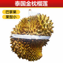 Mr.Seafood 京鲜生 泰国金枕头新鲜榴莲水果 2.0-3.0斤 源头直发 包 邮