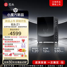 Roborock 石头 超薄平嵌AI洗烘—石头分子筛洗烘一体机Z1系列