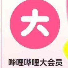 哔哩哔哩大会员一年