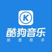 双11狂欢：KUGOU 酷狗音乐 豪华vip会员年卡