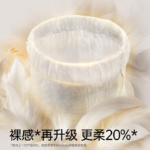 BEBETOUR皇家羽毛系列拉拉裤超薄干爽透气尿不湿泡泡腰围成长裤 试用装便携装5片L
