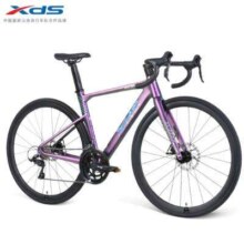 14日20点、PLUS会员：XDS 喜德盛 AD300 公路自行车 24新款