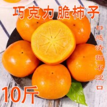 某宝买菜 山西巧克力脆柿子 10斤