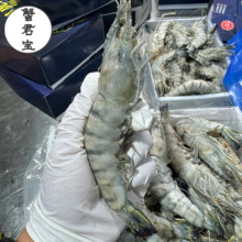京东百亿补贴：蟹君宝鲜冻黑虎虾 新鲜超大虾类 无冰净重 只只分离 2斤 每斤约12头