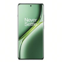 PLUS会员、百亿补贴：一加 Ace 3 Pro 16GB+256GB 绿野素青