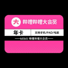 双11狂欢：bilibili 哔哩哔哩 会员年卡+WPS超级会员年卡