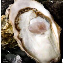 plus会员:鲜海道 乳山牡蛎 精品2XL带箱5斤送酱（13-17只）*11件