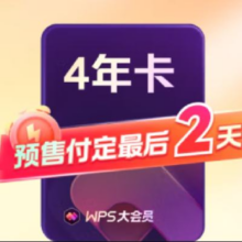 双11预售、plus会员：WPS大会员4年卡 含超级会员所有功能