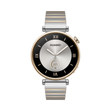 华为华为 HUAWEI WATCH GT 4  不锈钢间金表带 41mm 皓月银