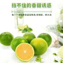 云南冰糖橙 3斤中果＊2件