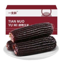 需首购：一支鲜 东北黑糯玉米棒 180g*10支