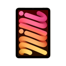 Apple/苹果 iPad mini (A17 Pro) 8.3英寸 2024年新款平板电脑(512G WLAN版/MYH23CH/A)星光色