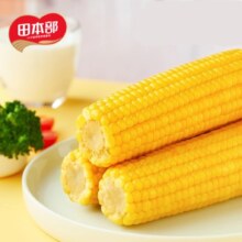 农投集团！单根250克重！黄糯玉米8根
