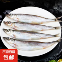 京喜加 多春鱼500g【20~24条装】 买1送1