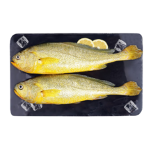plus会员、京东百亿补贴:鸿顺 鲜冻宁德黄花鱼1.4kg/4条