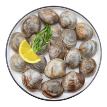 PLUS：鲜京采 鲜活大美贝 5斤 每斤15-20粒 【源头直发】新鲜蛤蜊花甲