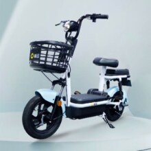百亿补贴：新日 小麦迪 电动车 TDT5770Z 48V20Ah