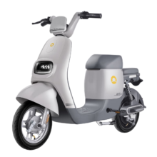 京东百亿补贴：SUNRA 新日 星空 TDT8990Z 电动车 48V24Ah