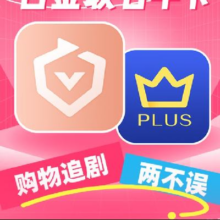 22日0点：iQIYI 爱奇艺 白金会员年卡+京东PLUS年卡