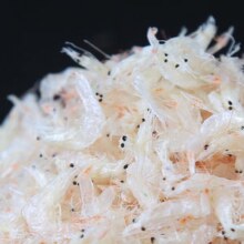 味点赞 淡干虾皮特级海米虾米500g