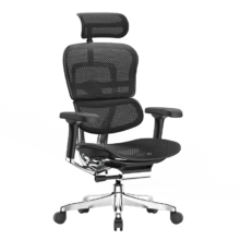 PLUS会员：Ergonor 保友办公家具 金豪E 2代 人体工学电脑椅 银白网/黑色网Q4.0版