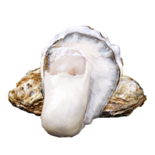 京东百亿补贴、plus会员:贝司令（BEISILING）乳山福海生蚝5XL净重5斤 8+只装