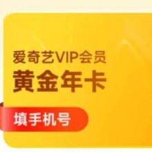 爱奇艺 VIP会员黄金年卡12个月