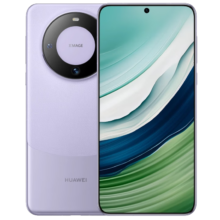 政府补贴、plus会员：HUAWEI 华为 Mate 60 5G手机 12GB+256GB 南糯紫