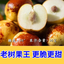 京东百亿补贴:田拾记 山东沾化冬枣 净重2.7- 3斤 单果8-10g 【尝鲜装】 5A商超级